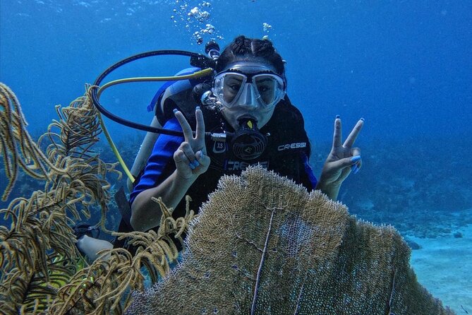 Private Diving Experience for Beginners in San Andres Islands - The Main Underwater Swim at 6 to 12 Meters