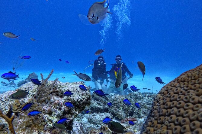 Private Diving Experience for Beginners in San Andres Islands - The First 20 Minutes: Instructions and Equipment