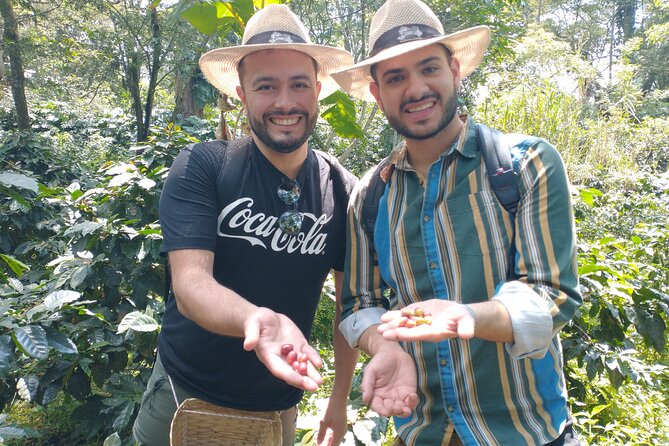 Private Experience in Coffee Hacienda: From Plant to Cup - Private Transportation Makes the Long Day Easier