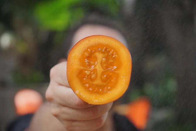 Private Getsemani Family Fruit Experience in Cartagena - Key points to know before booking