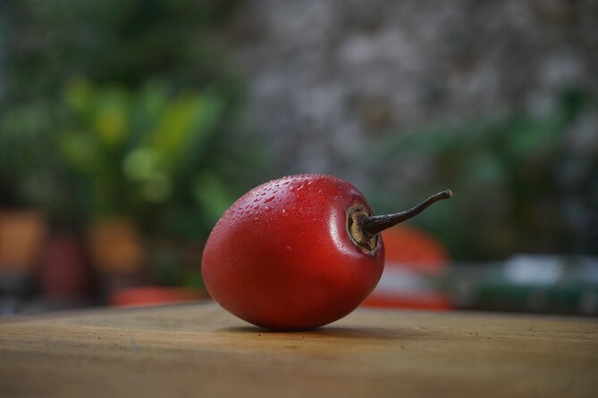 Private Getsemani Family Fruit Experience in Cartagena - The family angle, including the age limit