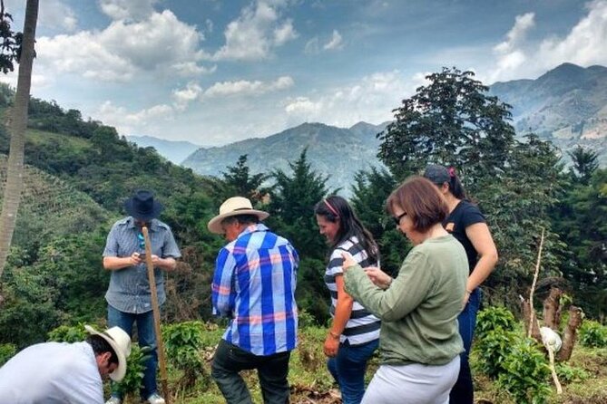 Private Half-Day Coffee Tour at Family Farm Close to Medellín! - Key points to know before you book