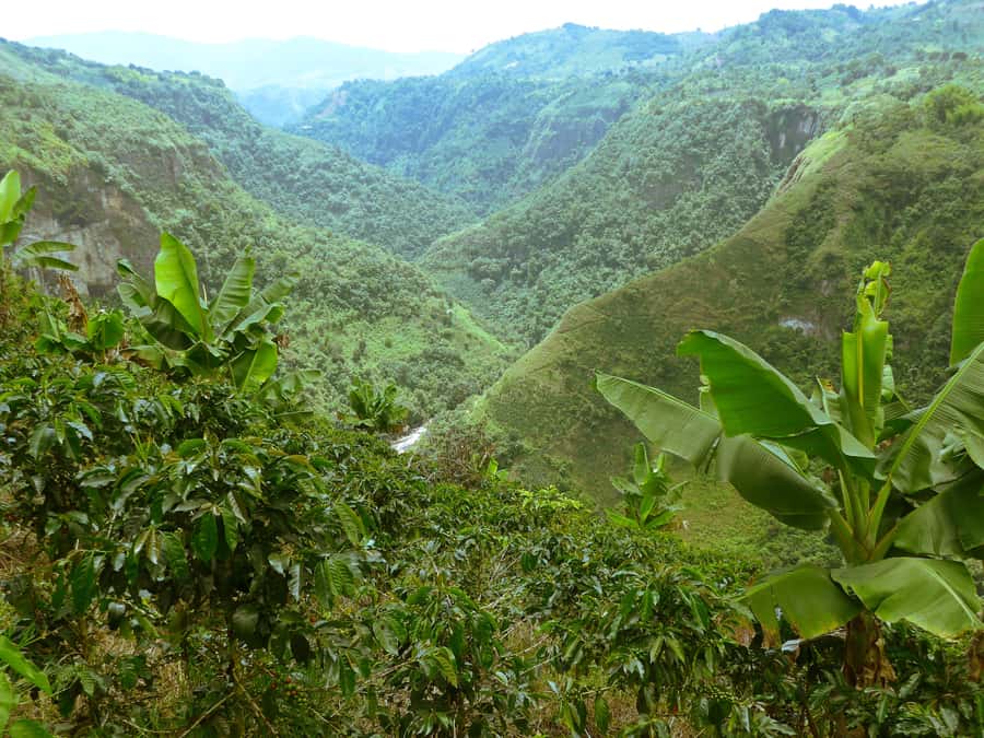 Private Jeep Tour to the Surroundings of San Agustín - Why this route is useful in San Agustín