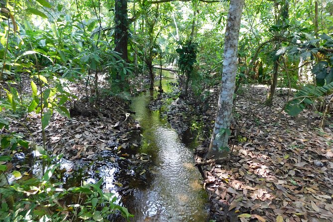 Private to Tayrona Park, Cañaveral sector, reefs, Arenilla and Cabo San Juan - Arenilla, reefs, and the coastal route