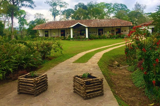 Private Tour - Coffee Tour (Cultivations) - Why Santander coffee deserves attention