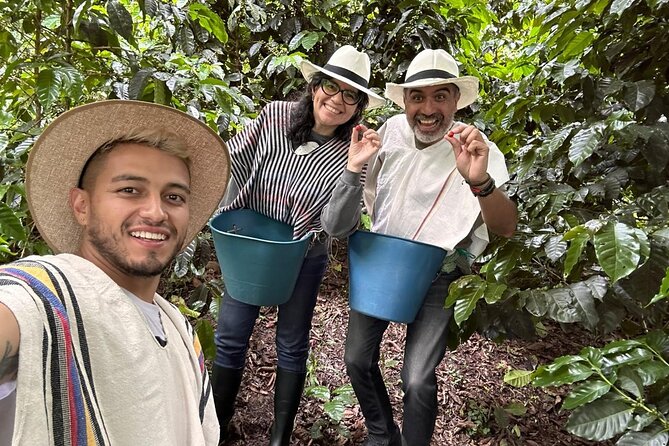 Private Tour from Bogota to Finca Cafetera - Key points at a glance