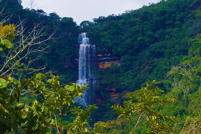 Private Tour - Juan Curí Waterfalls (Nature) - Who Will Enjoy This Day Most