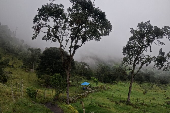 Private tour: La Chorrera highest waterfall in Colombia - The 590-meter cascade is the payoff