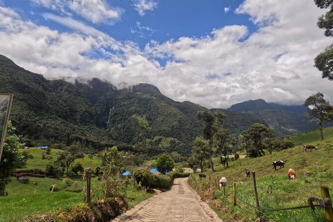 Private tour: La Chorrera highest waterfall in Colombia - Edwin’s role adds value to the private format