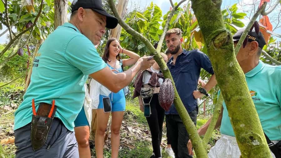 Private Tour of Chocolate Plantation and Processing - Key points to know before booking