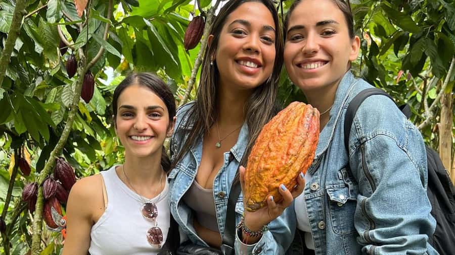 Private Tour of Chocolate Plantation and Processing - Sustainability and fair trade in practice