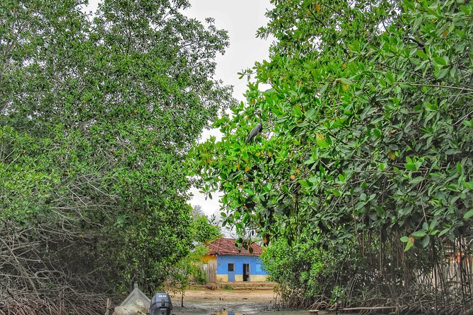 Private Tour of Ecotourism, Culture and Sea in Barú - Why this Barú day feels different from a standard beach trip