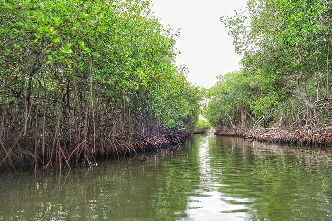 Private Tour of Ecotourism, Culture and Sea in Barú - Boat transport to the Rosario Islands area