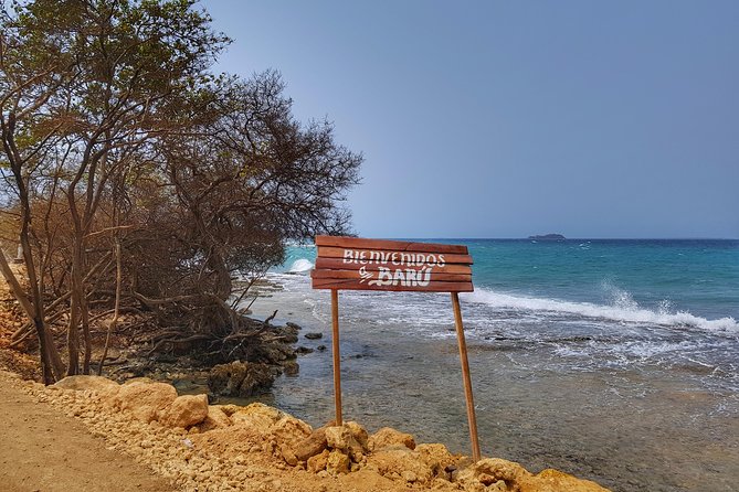 Private Tour of Ecotourism, Culture and Sea in Barú - Playetas and Barú’s marine life
