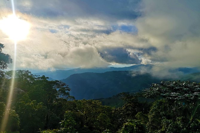 Private Tour - Páramo de Santurban (Nature) - Reaching the dark water