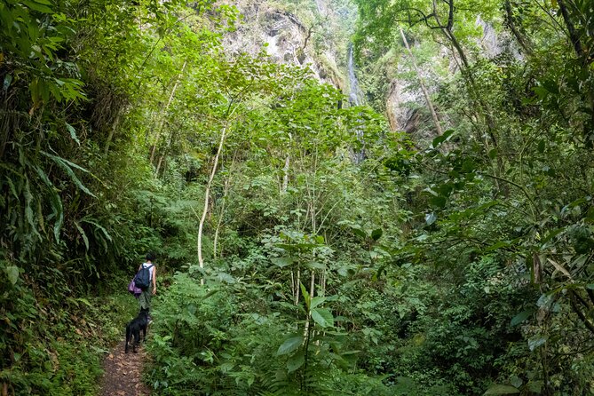 Private Tour through the Chicaque Natural Park and Forest of Fog - Pico rock and the changing views