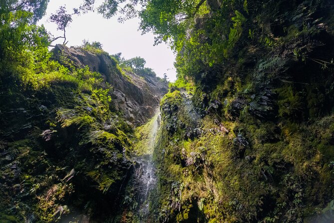 Private Tour through the Chicaque Natural Park and Forest of Fog - What the private format is worth at $185