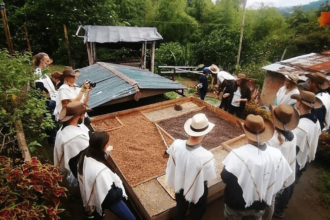 Private Tour to Coffee Farm (farm of your choice) - Key points to know before booking