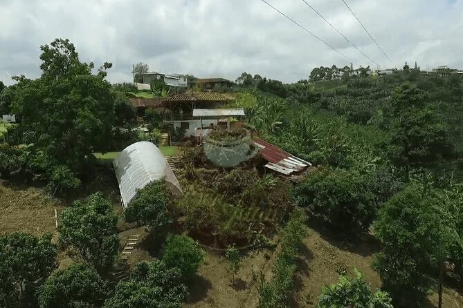 Private Tour to Coffee Farm (farm of your choice) - Choosing your coffee farm in Colombia