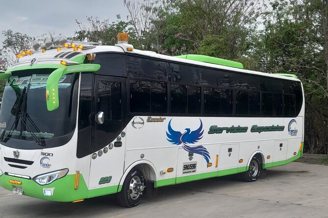 Private Transfer from Airport to Hotels in Cartagena - Driver patience is the strongest point