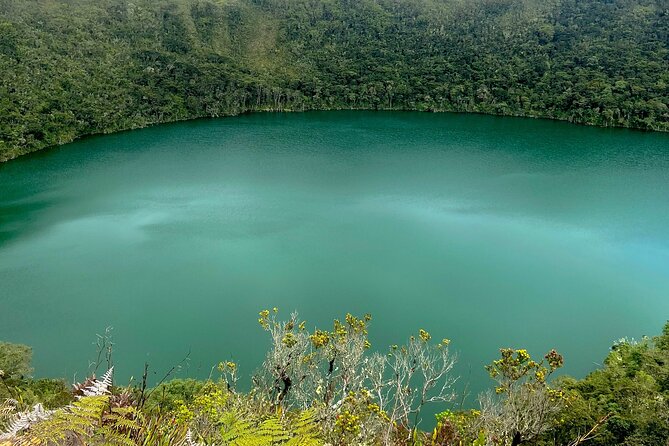 Private Visit to Casa Loca and Guatavita - Guatavita Town, Food, and Useful Spanish