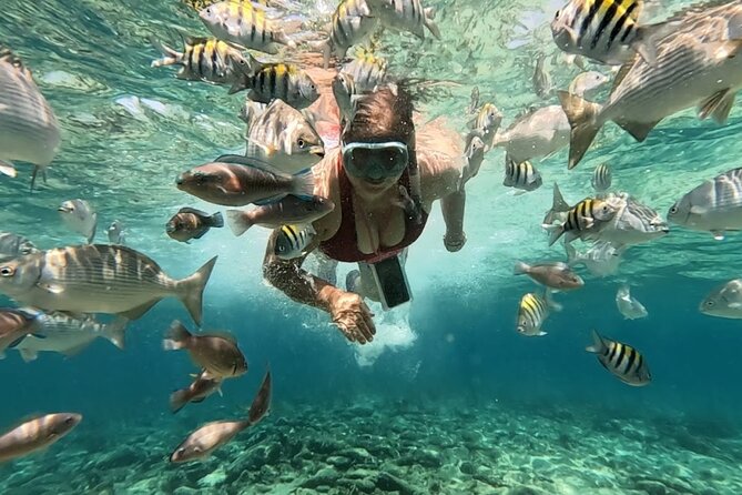 Rosario Islands and Playa Blanca Tour with Snorkeling or Aquarium - Leaving Cartagena from Muelle de la Bodeguita