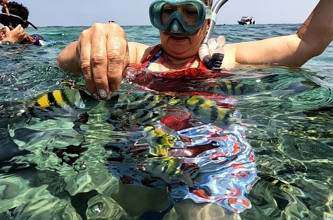 Rosario Islands and Playa Blanca Tour with Snorkeling or Aquarium - Resting at Playa Tranquila in Barú
