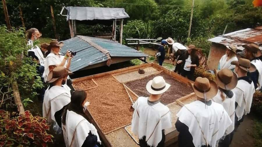 Salento and Cócora Tour + Coffee Farm from Pereira/Armenia - Key points at a glance