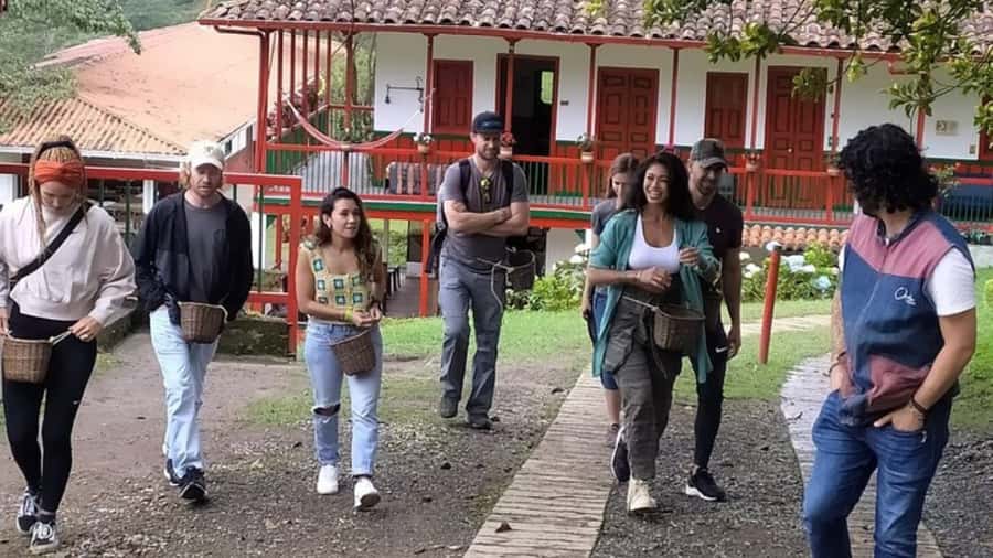 Salento and Cócora Tour + Coffee Farm from Pereira/Armenia - Booking details worth checking