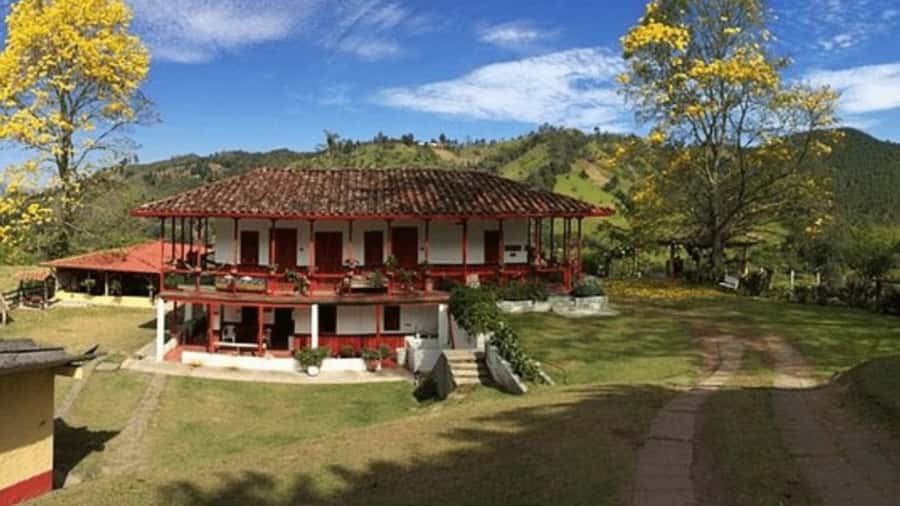 Salento and Cócora Tour + Coffee Farm from Pereira/Armenia - Why this day trip works from Pereira or Armenia