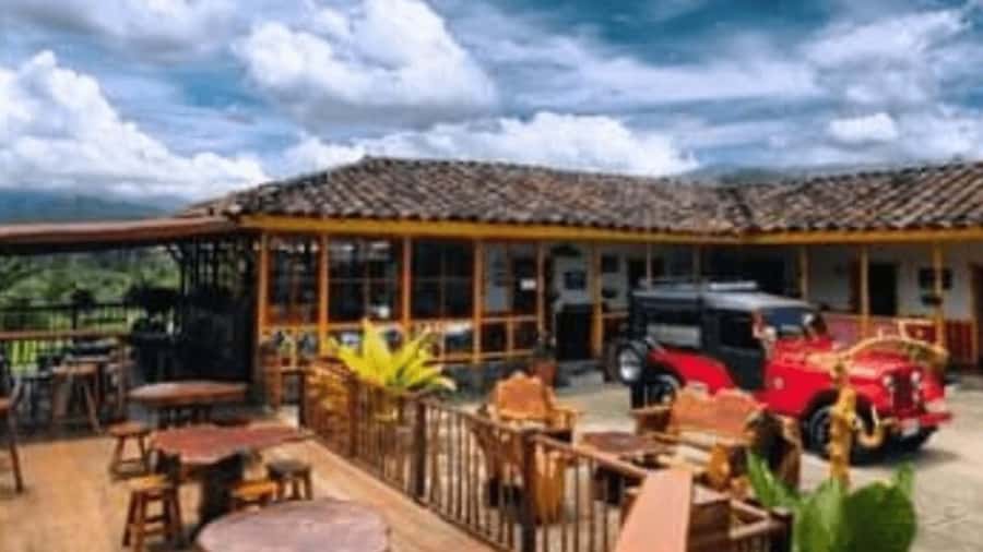 Salento and Cócora Tour + Coffee Farm from Pereira/Armenia - Cocora Valley and the famous wax palms