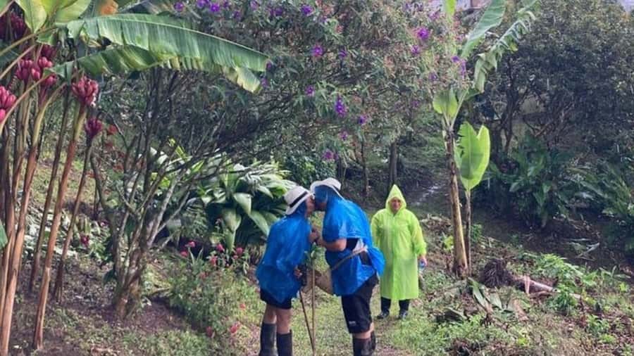 Salento and Cócora Tour + Coffee Farm from Pereira/Armenia - What the private format is really worth