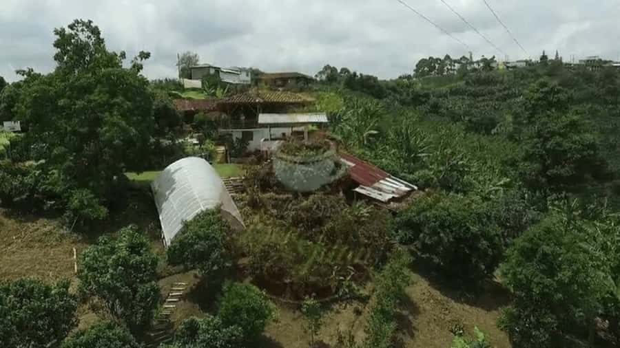 Salento and Cócora Tour + Coffee Farm from Pereira/Armenia - Salento, where coffee country feels human