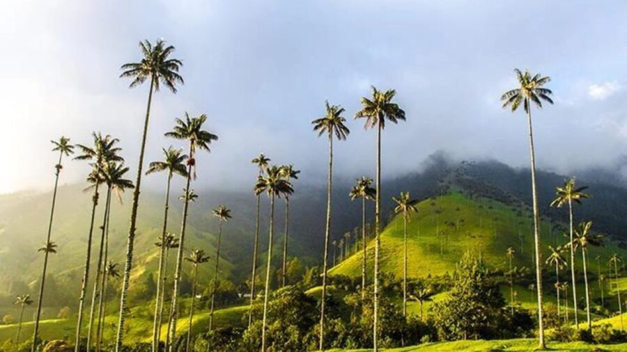 Salento and Cocora Valley Full Plan from Pereira or Armenia - What the $205 price really buys