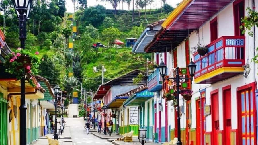 Salento and Cocora Valley Full Plan from Pereira or Armenia - Who will get the most from this tour