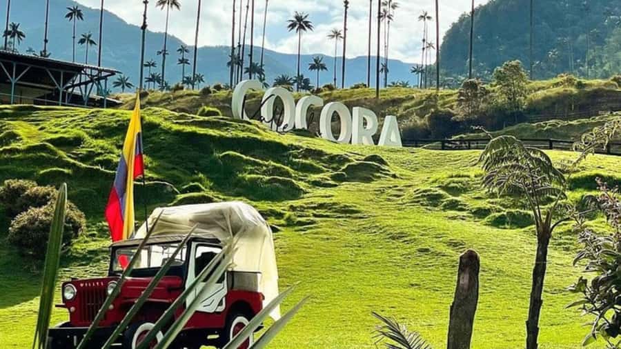 Salento and Cocora Valley Full Plan from Pereira or Armenia - Booking details worth noting