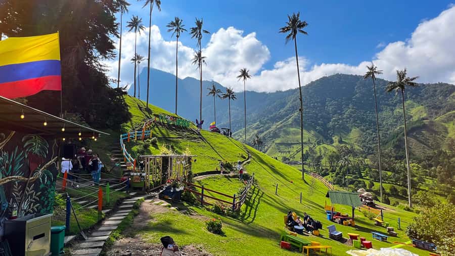 Salento, Cocora and Filandia Full Plan from Pereira/Armenia - Cocora Valley and the tall wax palms