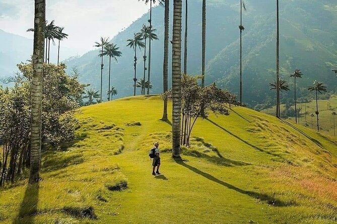 Salento, Cocora and Filandia Private Tour from Pereira or Armenia - Why this private day works well