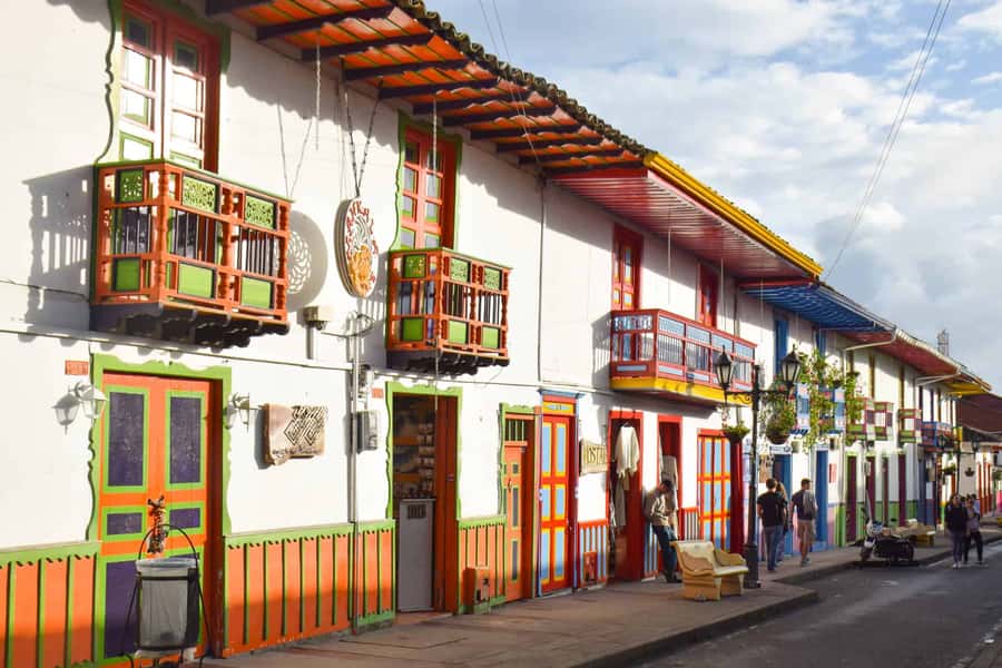 Salento, Cocora and Filandia Tour from Pereira or Armenia - Cocora Valley and the palm forest
