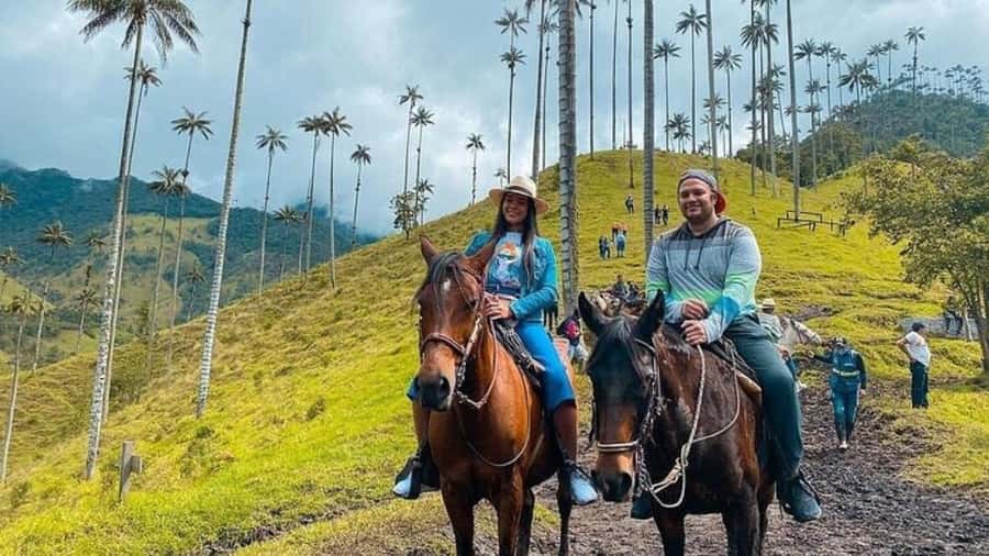 Salento, Cócora + Horseback Riding from Pereira or Armenia - Why Cocora Valley makes this outing special