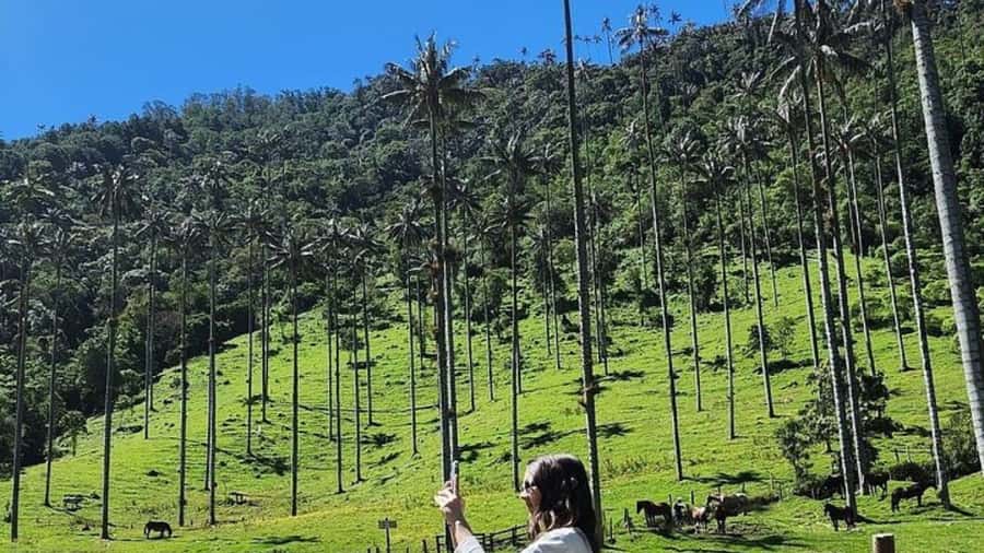 Salento, Cócora + Horseback Riding from Pereira or Armenia - How the guide and insurance add value