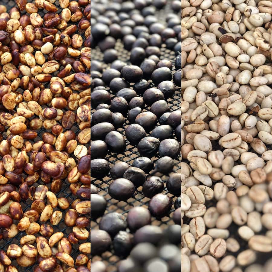 Salento: Coffee Farm Tour with Tasting - Is five hours enough?