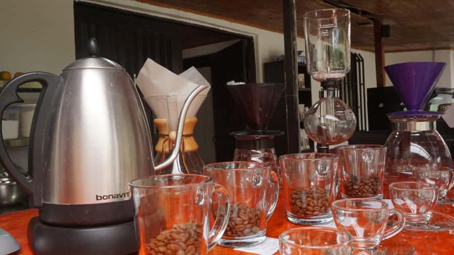 Salento: Coffee Master Roasting, Brewing and Tasting Tour - Learning why origin and roast profile matter