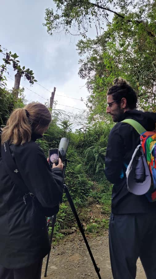 Salento: hike to learn about Birds - Key points at a glance