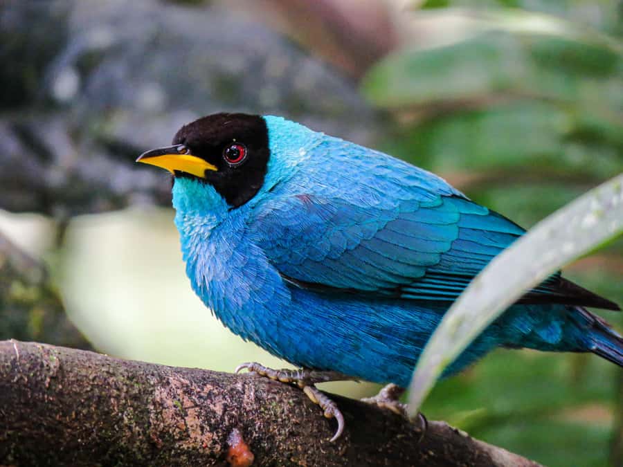 Salento: hike to learn about Birds - How long should you plan for?