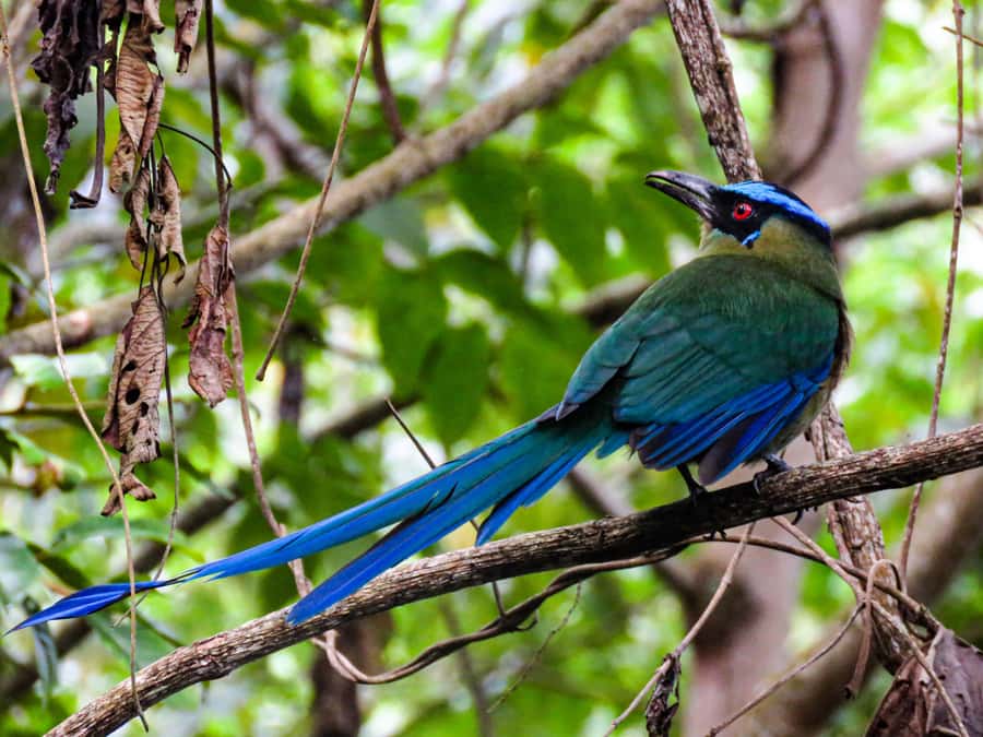 Salento: hike to learn about Birds - A 30-minute breakfast before the walk