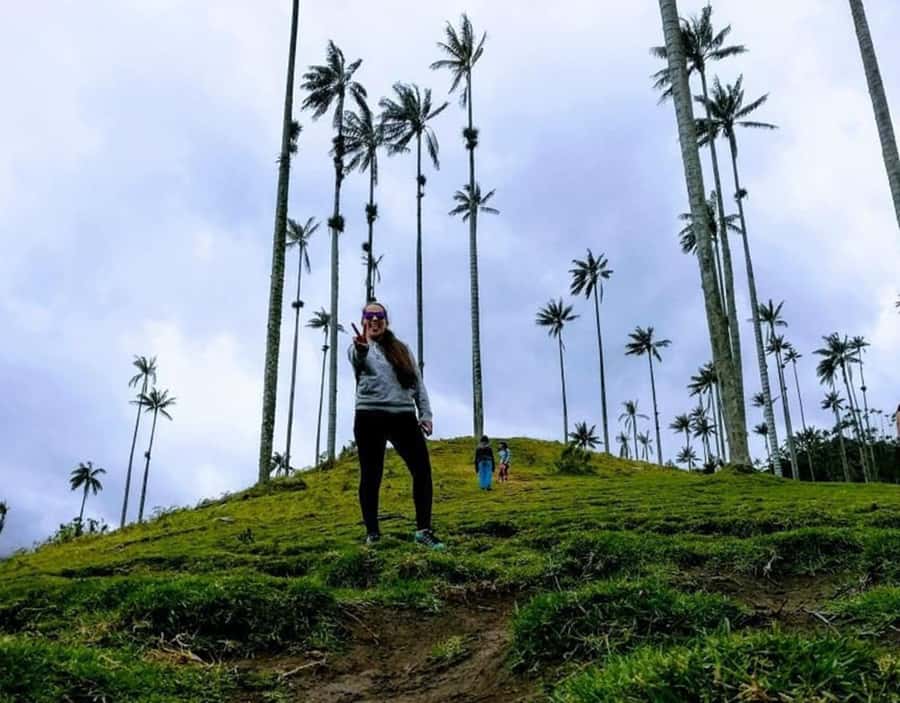 Salento/Pereira: Cocora Valley & Salento Hiking Private Tour - Key points to know before you go
