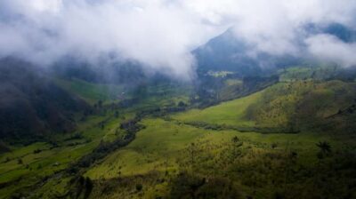 Salento/Pereira: Cocora Valley & Salento Hiking Private Tour