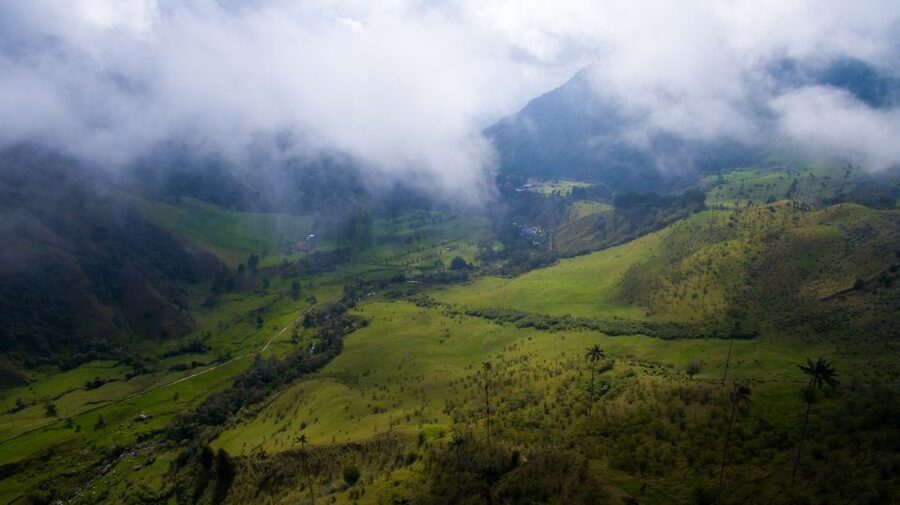 Salento/Pereira: Cocora Valley & Salento Hiking Private Tour - Salento beyond a quick photo stop