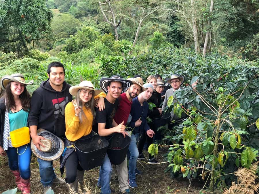 Salento: Private Cocora Valley, Salento & Coffee Farm Tour - Key points at a glance